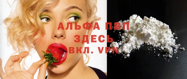 индика Новый Уренгой