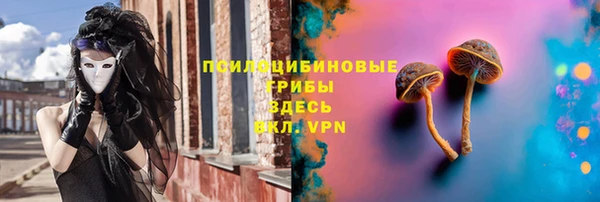 прущие грибы Арсеньев
