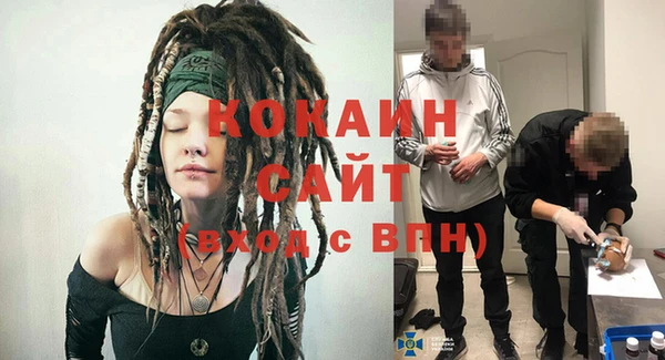 шишки Армянск