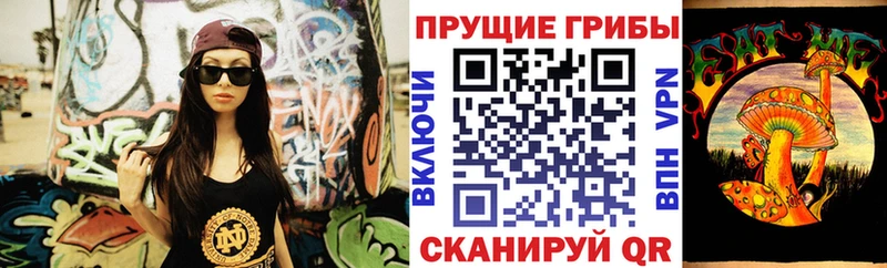 Галлюциногенные грибы мицелий Новоржев