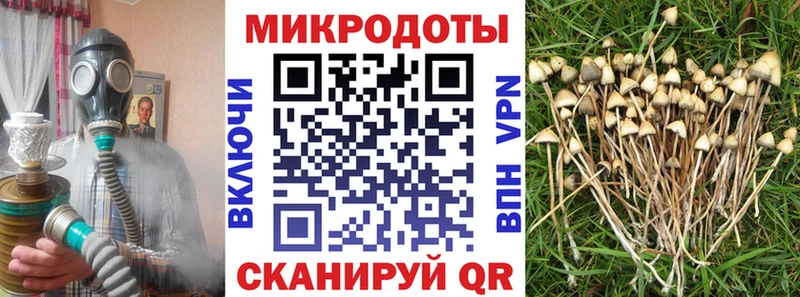 Галлюциногенные грибы мицелий  Новоржев 